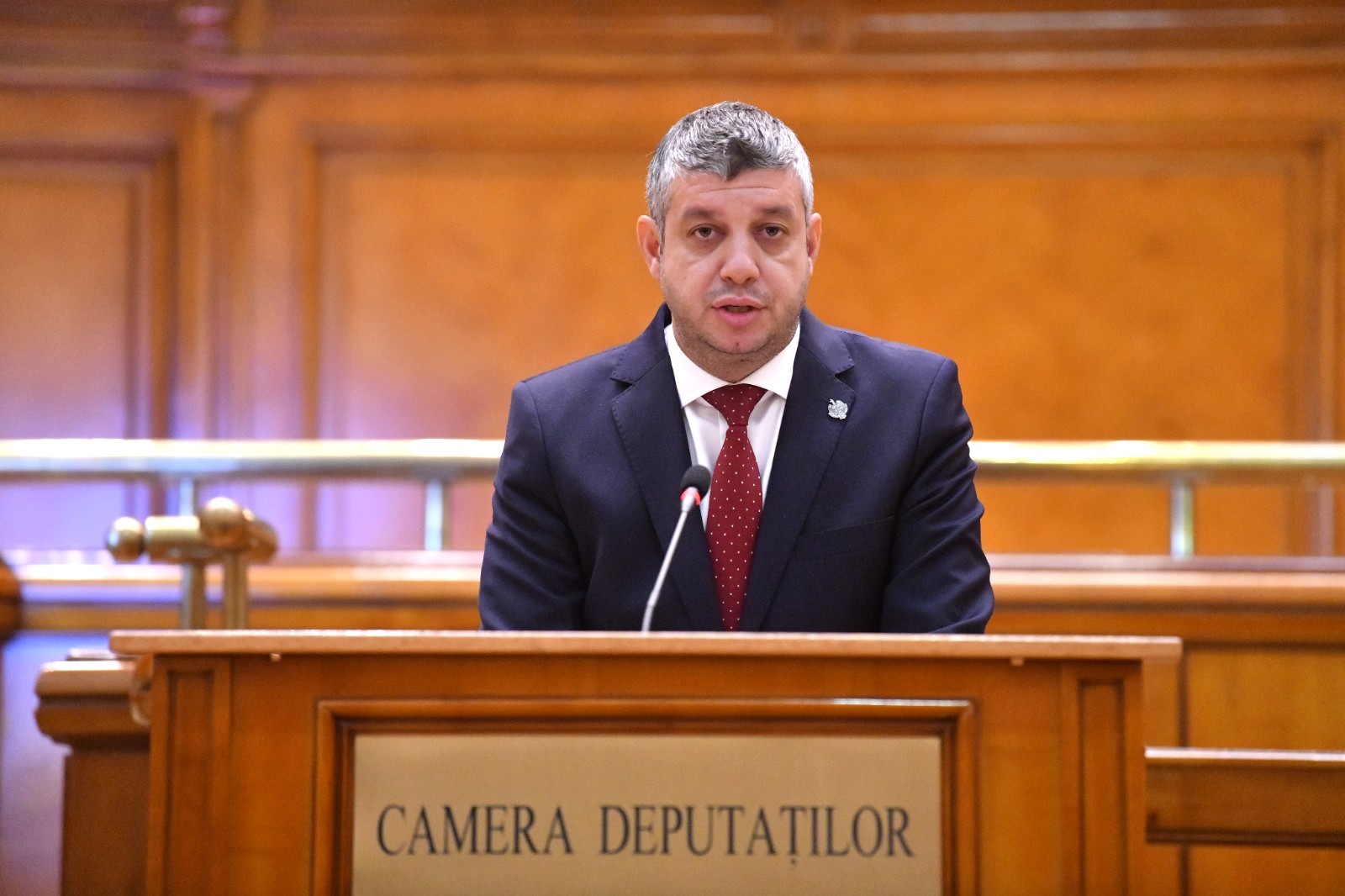 Ștefan Țintă: „Am votat pentru fiecare român privit de sus, ironizat”